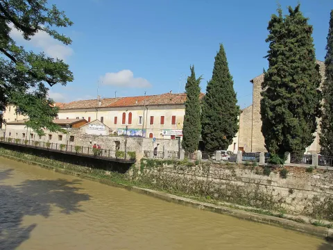Museo civico di Conegliano — Conegliano