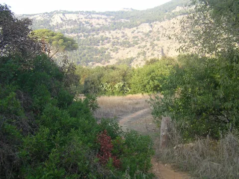 parco della Favorita — Palermo
