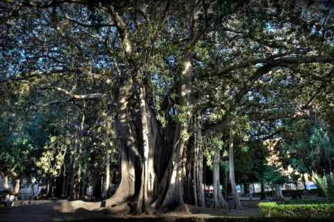 giardino Garibaldi — Palermo