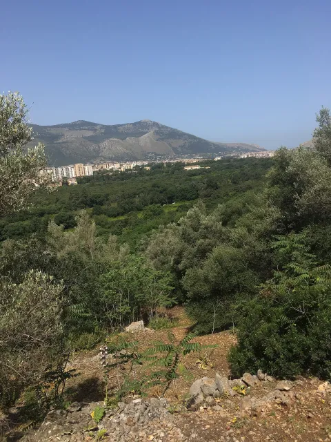 Riserva naturale orientata Monte Pellegrino — Palermo
