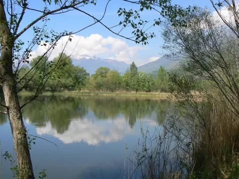 Riserva naturale Les Îles — Quart