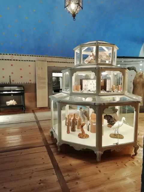 Museo regionale di scienze naturali Efisio Noussan — Saint-Pierre