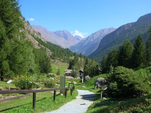 Giardino botanico alpino Paradisia — Cogne
