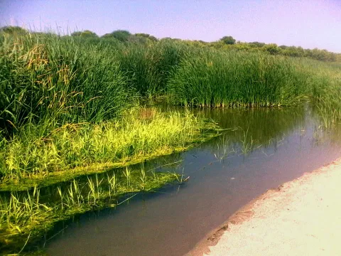 riserva naturale orientata Bosco Pantano di Policoro — Rotondella