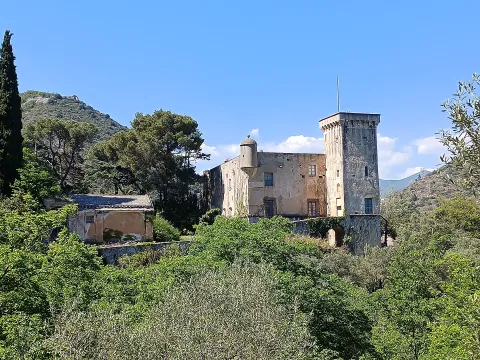 Castello di Conscente — Cisano sul Neva