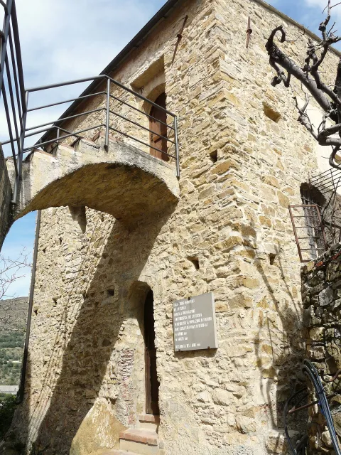 Torre quadrilatera — Terzorio