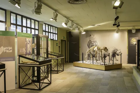 Museo di archeologia e paleontologia "Carlo Conti" — Borgosesia