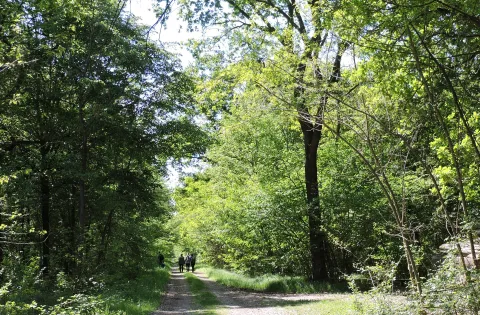 Parco naturale del Bosco della Partecipanza e delle Grange Vercellesi — Trino