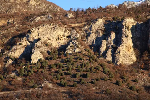Riserva naturale dell'Orrido di Foresto — Bussoleno