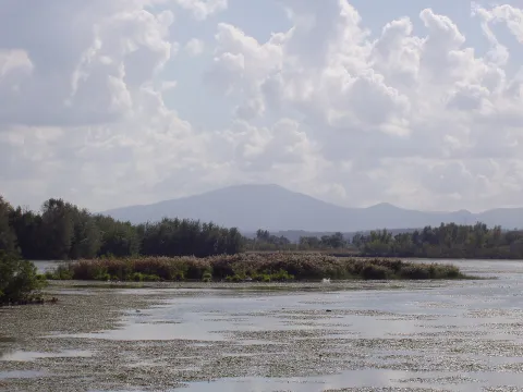 Lago di Alviano — Alviano