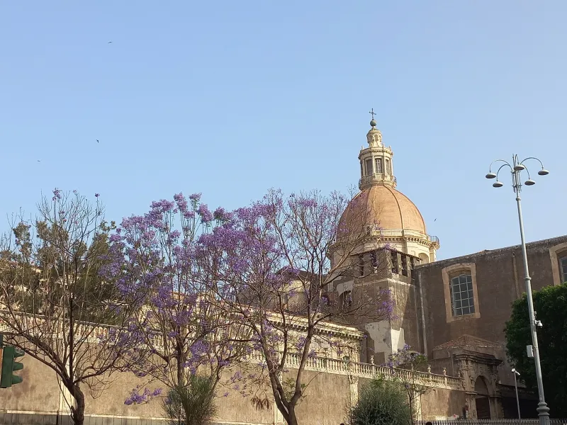 La cupola del Monastero dei Benedettini a Catania tra alberi di jacaranda in fiore