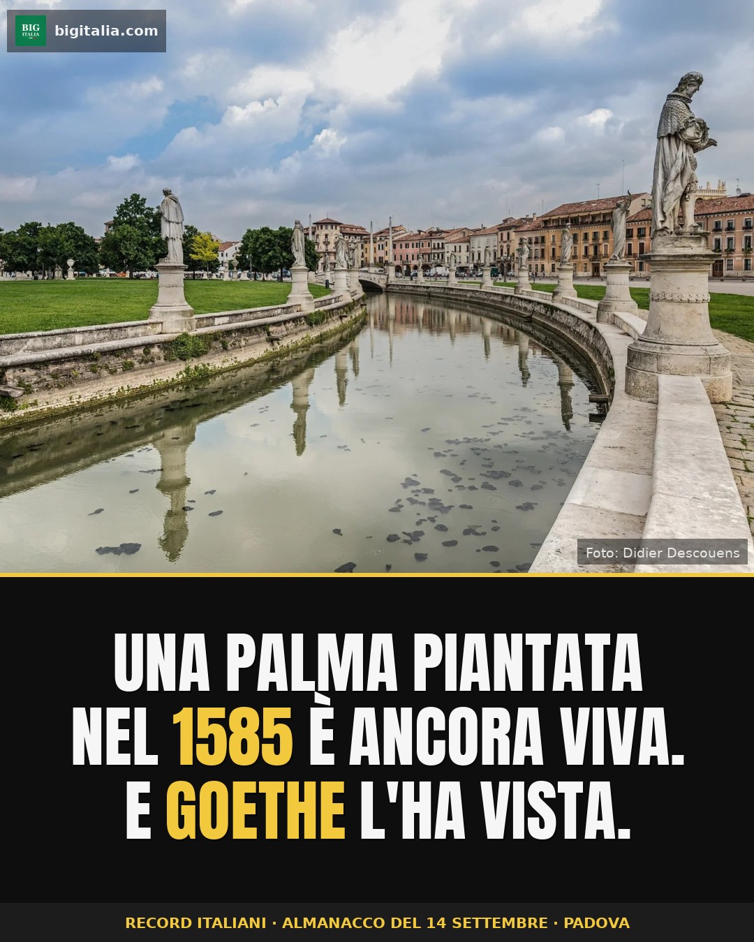 In Padua, the world's oldest university botanical garden